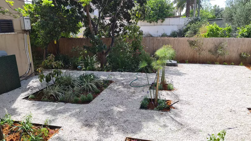 תכנון והקמת גינה מאפס